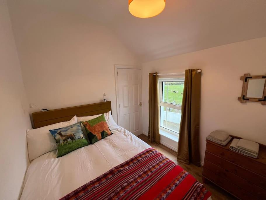 The Alpaca Farmhouse With Hot Tub And Alpaca Experience Included Dromara Exterior photo