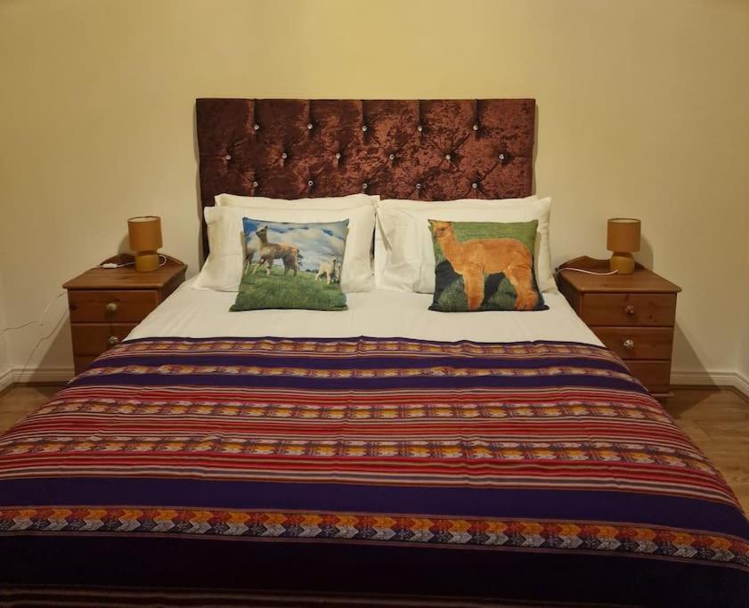 The Alpaca Farmhouse With Hot Tub And Alpaca Experience Included Dromara Exterior photo