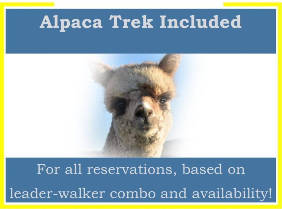 The Alpaca Farmhouse With Hot Tub And Alpaca Experience Included Dromara Exterior photo