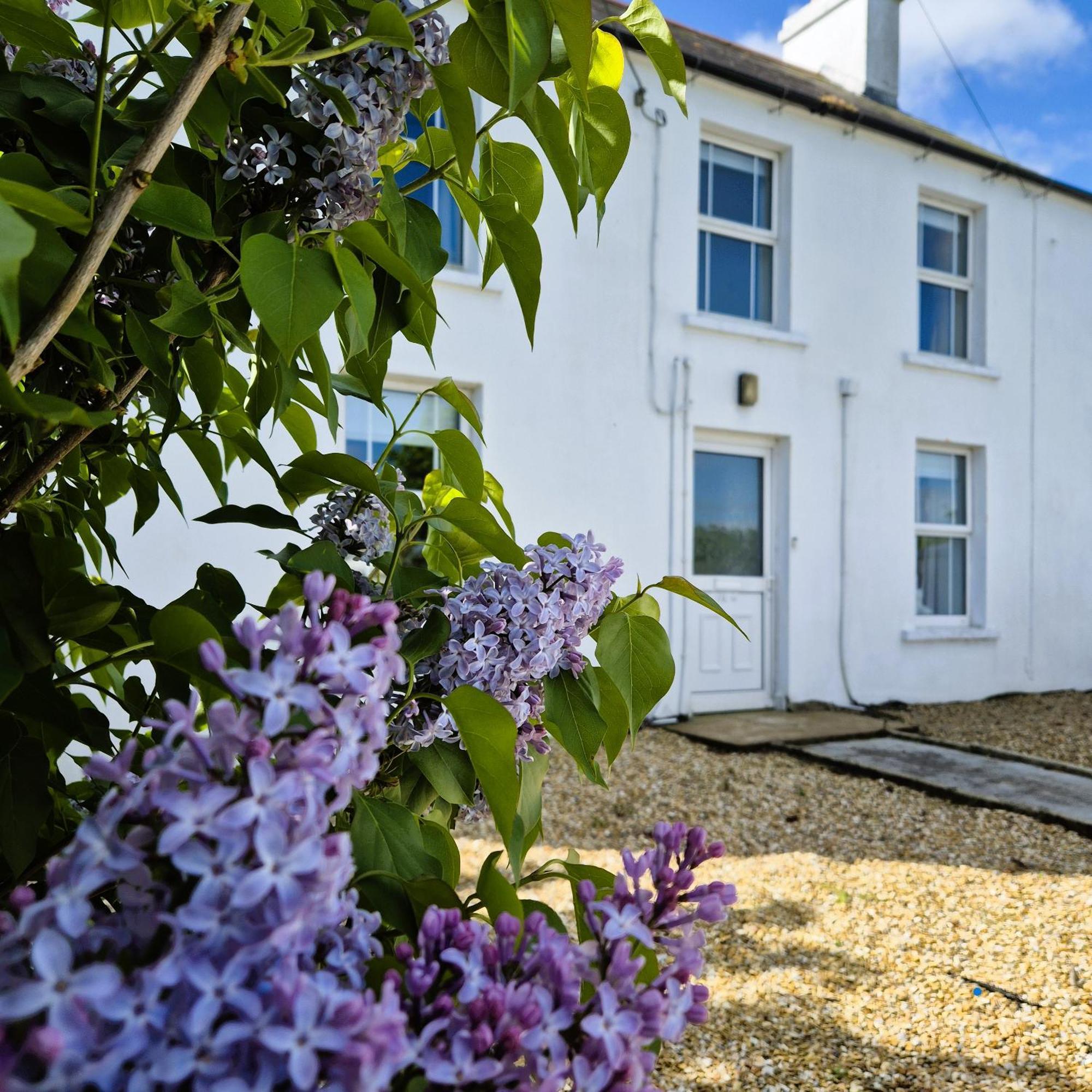 The Alpaca Farmhouse With Hot Tub And Alpaca Experience Included Dromara Exterior photo